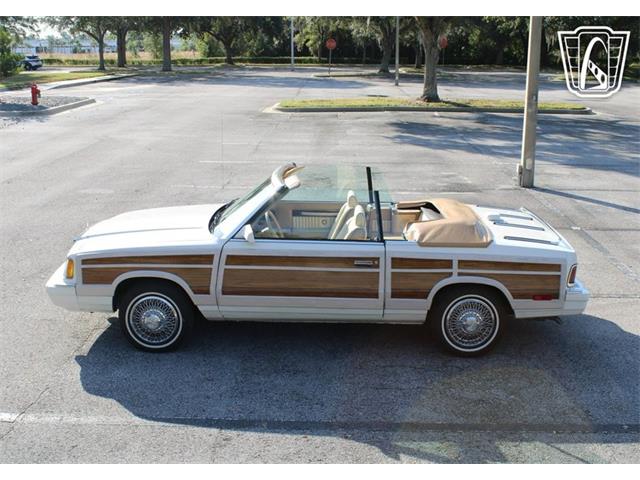 1986 Chrysler LeBaron (CC-2070637) for sale in Lake Mary, Florida