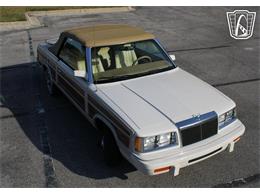 1986 Chrysler LeBaron (CC-2070637) for sale in Lake Mary, Florida