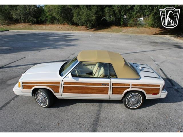 1986 Chrysler LeBaron (CC-2070637) for sale in Lake Mary, Florida