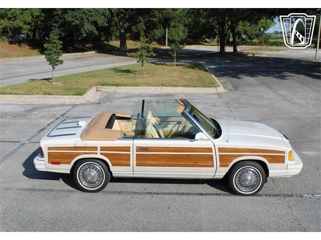 1986 Chrysler LeBaron (CC-2070637) for sale in Lake Mary, Florida