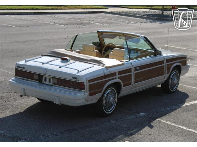 1986 Chrysler LeBaron (CC-2070637) for sale in Lake Mary, Florida