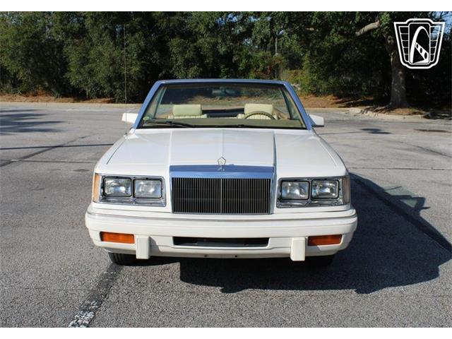 1986 Chrysler LeBaron (CC-2070637) for sale in Lake Mary, Florida
