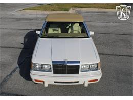 1986 Chrysler LeBaron (CC-2070637) for sale in Lake Mary, Florida