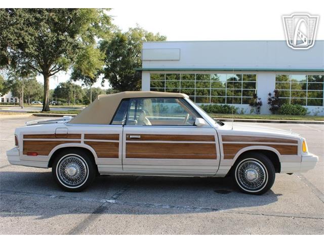 1986 Chrysler LeBaron (CC-2070637) for sale in Lake Mary, Florida