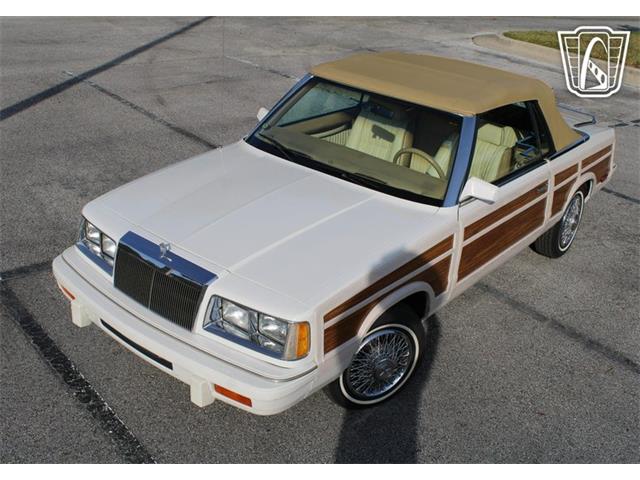 1986 Chrysler LeBaron (CC-2070637) for sale in Lake Mary, Florida
