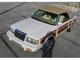 1986 Chrysler LeBaron (CC-2070637) for sale in Lake Mary, Florida
