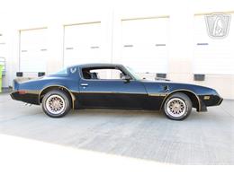1979 Pontiac Firebird (CC-2070638) for sale in Houston, Texas
