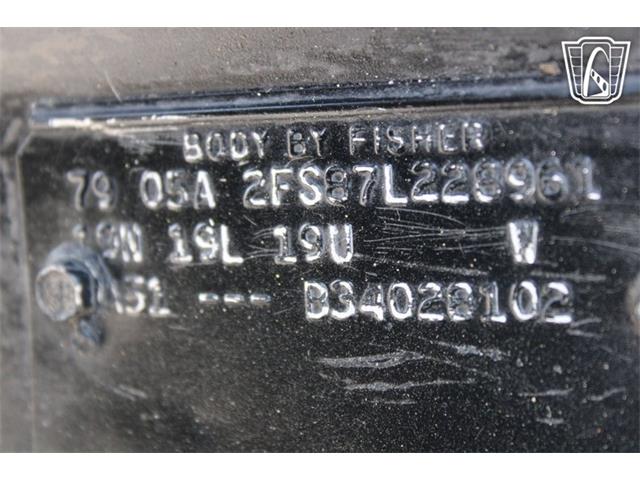 1979 Pontiac Firebird (CC-2070638) for sale in Houston, Texas