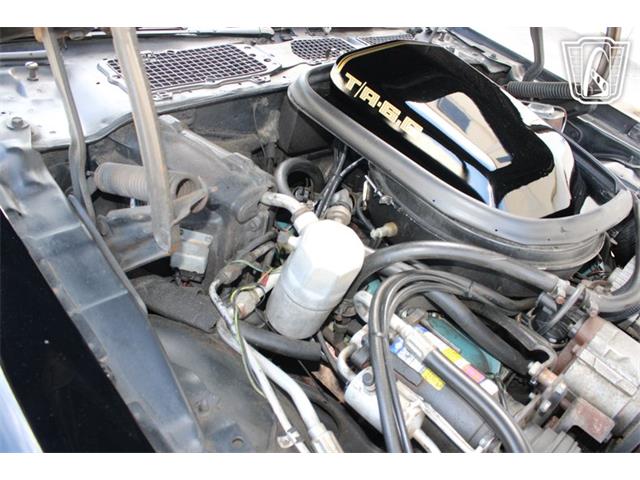 1979 Pontiac Firebird (CC-2070638) for sale in Houston, Texas