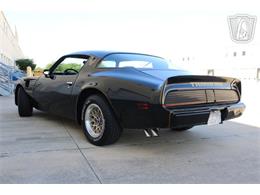 1979 Pontiac Firebird (CC-2070638) for sale in Houston, Texas