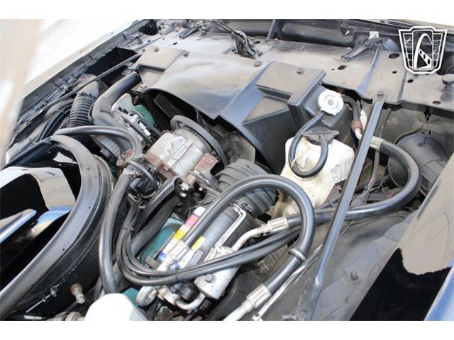 1979 Pontiac Firebird (CC-2070638) for sale in Houston, Texas