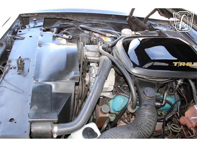1979 Pontiac Firebird (CC-2070638) for sale in Houston, Texas