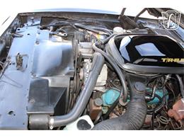 1979 Pontiac Firebird (CC-2070638) for sale in Houston, Texas