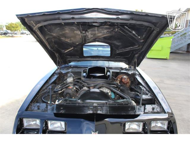 1979 Pontiac Firebird (CC-2070638) for sale in Houston, Texas