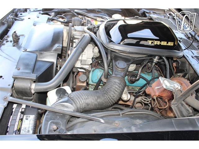 1979 Pontiac Firebird (CC-2070638) for sale in Houston, Texas