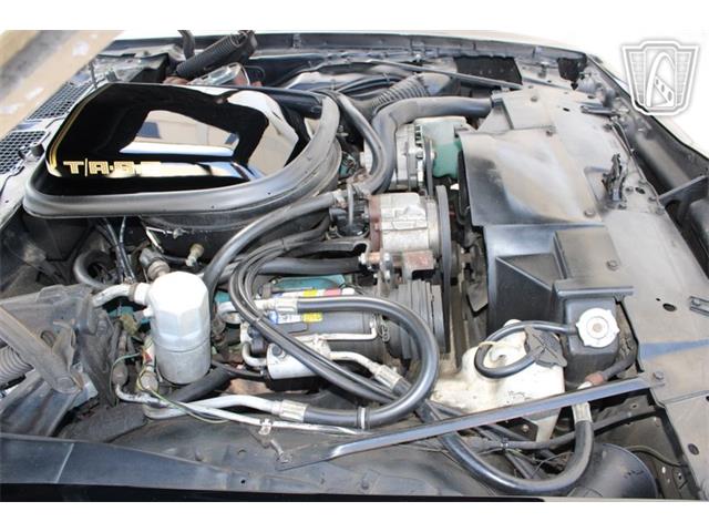 1979 Pontiac Firebird (CC-2070638) for sale in Houston, Texas
