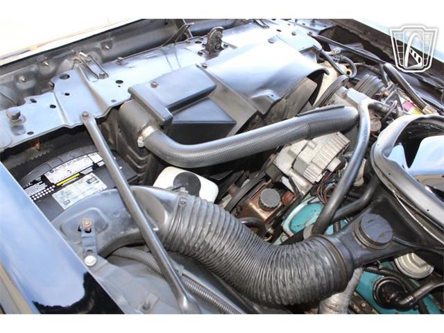 1979 Pontiac Firebird (CC-2070638) for sale in Houston, Texas