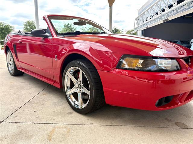 1999 Ford Mustang SVT Cobra (CC-2076405) for sale in Bradenton, Florida