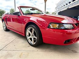 1999 Ford Mustang SVT Cobra (CC-2076405) for sale in Bradenton, Florida