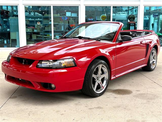 1999 Ford Mustang SVT Cobra (CC-2076405) for sale in Bradenton, Florida