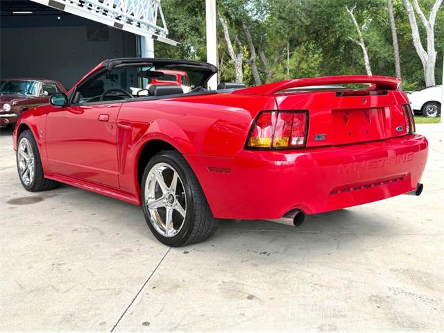 1999 Ford Mustang SVT Cobra (CC-2076405) for sale in Bradenton, Florida