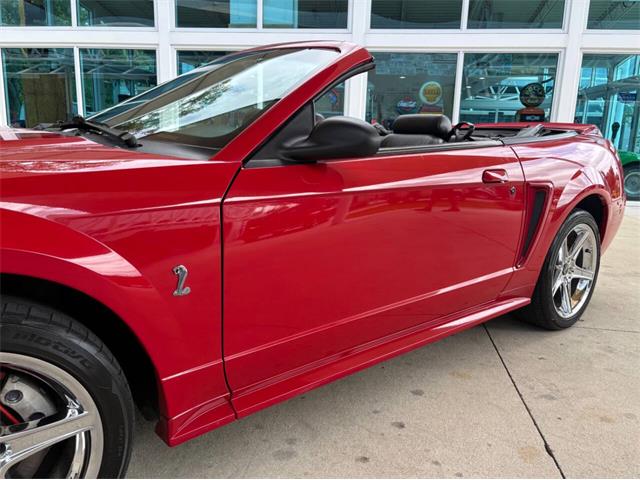 1999 Ford Mustang SVT Cobra (CC-2076405) for sale in Bradenton, Florida