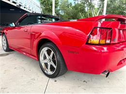 1999 Ford Mustang SVT Cobra (CC-2076405) for sale in Bradenton, Florida