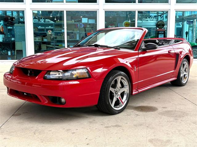 1999 Ford Mustang SVT Cobra (CC-2076405) for sale in Bradenton, Florida