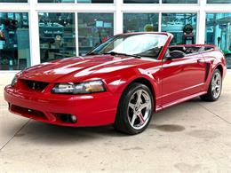 1999 Ford Mustang SVT Cobra (CC-2076405) for sale in Bradenton, Florida