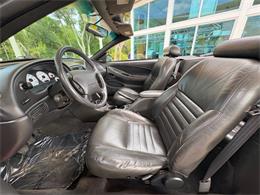 1999 Ford Mustang SVT Cobra (CC-2076405) for sale in Bradenton, Florida