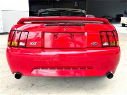 1999 Ford Mustang SVT Cobra (CC-2076405) for sale in Bradenton, Florida