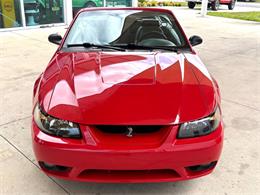 1999 Ford Mustang SVT Cobra (CC-2076405) for sale in Bradenton, Florida