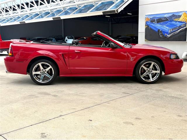 1999 Ford Mustang SVT Cobra (CC-2076405) for sale in Bradenton, Florida