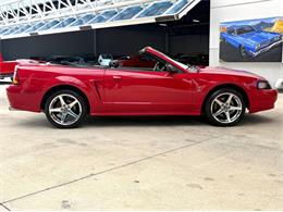 1999 Ford Mustang SVT Cobra (CC-2076405) for sale in Bradenton, Florida