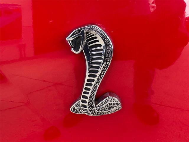 1999 Ford Mustang SVT Cobra (CC-2076405) for sale in Bradenton, Florida
