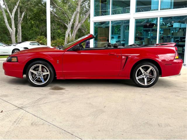 1999 Ford Mustang SVT Cobra (CC-2076405) for sale in Bradenton, Florida
