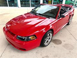 1999 Ford Mustang SVT Cobra (CC-2076405) for sale in Bradenton, Florida