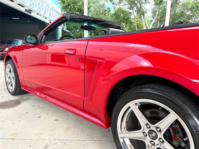 1999 Ford Mustang SVT Cobra (CC-2076405) for sale in Bradenton, Florida