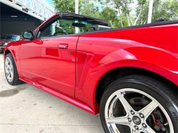 1999 Ford Mustang SVT Cobra (CC-2076405) for sale in Bradenton, Florida