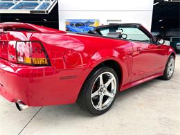 1999 Ford Mustang SVT Cobra (CC-2076405) for sale in Bradenton, Florida
