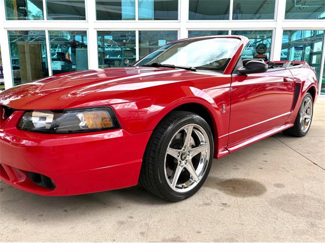 1999 Ford Mustang SVT Cobra (CC-2076405) for sale in Bradenton, Florida
