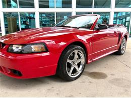 1999 Ford Mustang SVT Cobra (CC-2076405) for sale in Bradenton, Florida