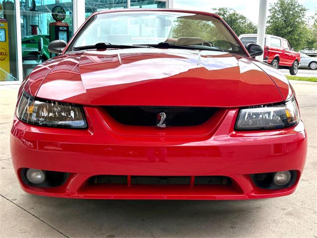 1999 Ford Mustang SVT Cobra (CC-2076405) for sale in Bradenton, Florida