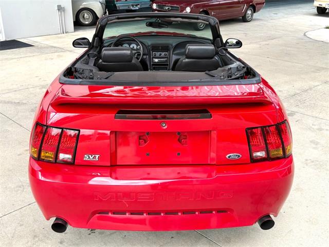 1999 Ford Mustang SVT Cobra (CC-2076405) for sale in Bradenton, Florida