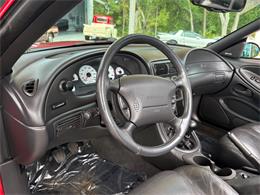 1999 Ford Mustang SVT Cobra (CC-2076405) for sale in Bradenton, Florida