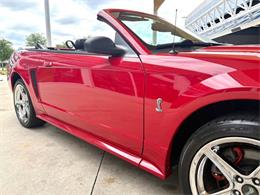 1999 Ford Mustang SVT Cobra (CC-2076405) for sale in Bradenton, Florida