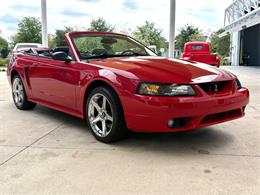 1999 Ford Mustang SVT Cobra (CC-2076405) for sale in Bradenton, Florida
