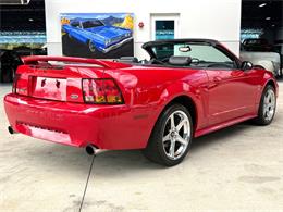 1999 Ford Mustang SVT Cobra (CC-2076405) for sale in Bradenton, Florida