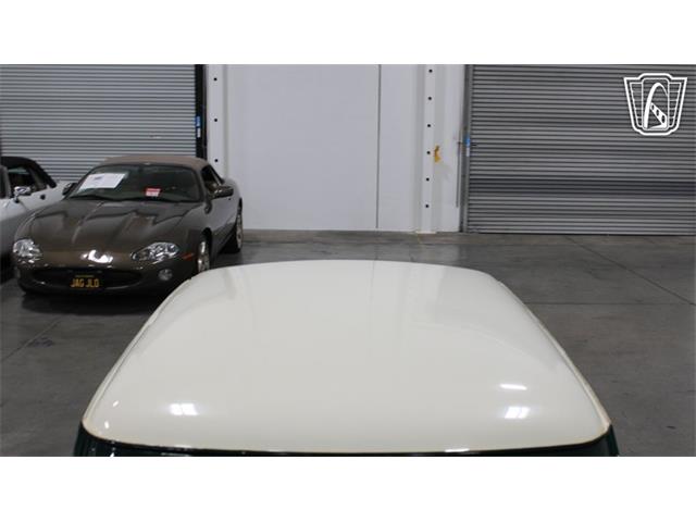 1995 Rover Mini (CC-2076428) for sale in Las Vegas, Nevada