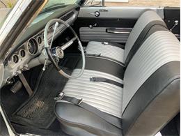 1964 Ford Falcon (CC-2076470) for sale in Fredericksburg, Texas